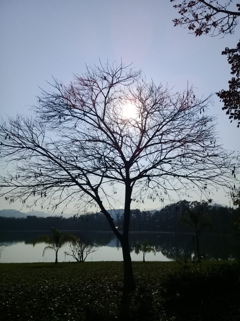 Veja a foto em tamanho maior.